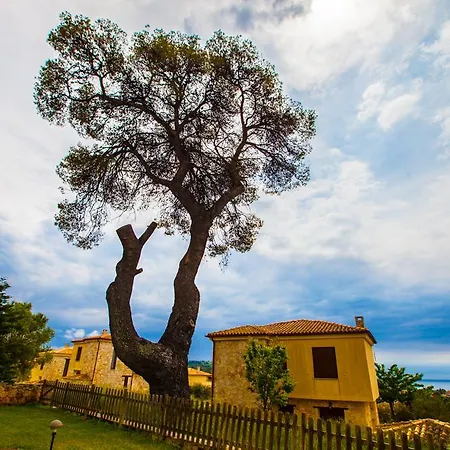 Sandals Villa Kallithea (Chalkidiki)